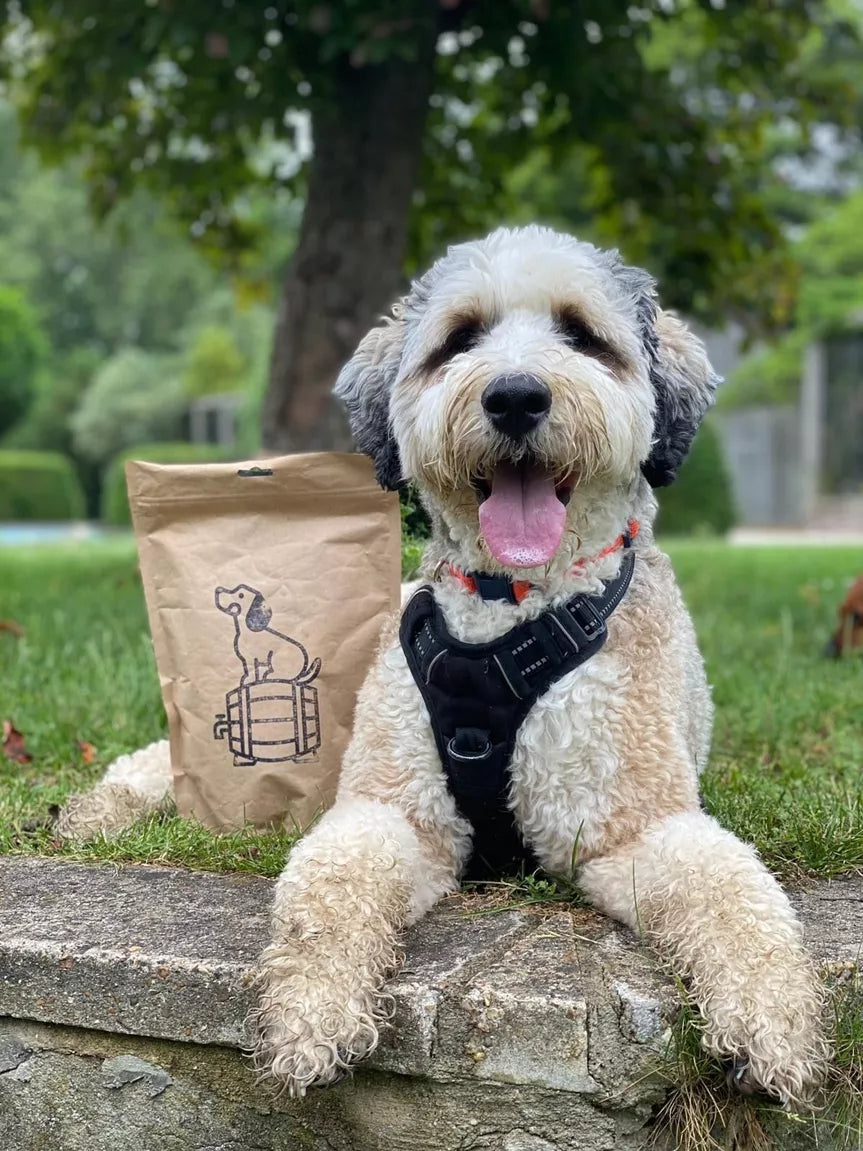 BrewBix Dog Biscuits - 500g Pouch