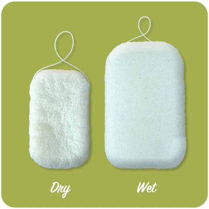 Konjac Sponge (SALE)
