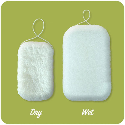 Konjac Sponge (SALE)