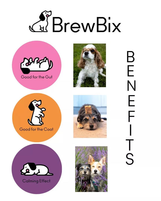 BrewBix Dog Biscuits - 100g Box